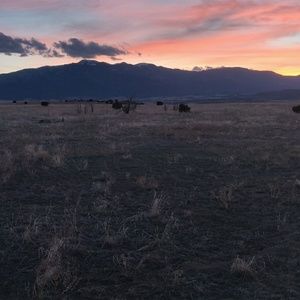 Meet your Posher, Gian